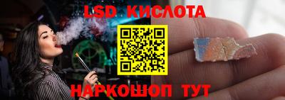 PSILOCYBIN Заволжье