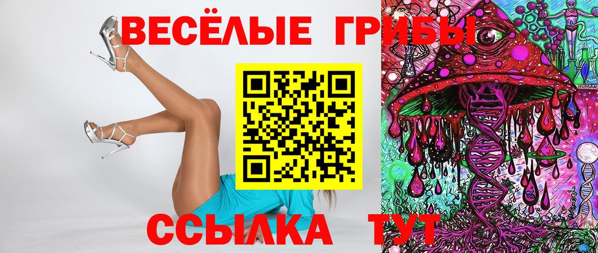 Кушва  Псилоцибиновые грибы мицелий  закладки  Вход с VPN 