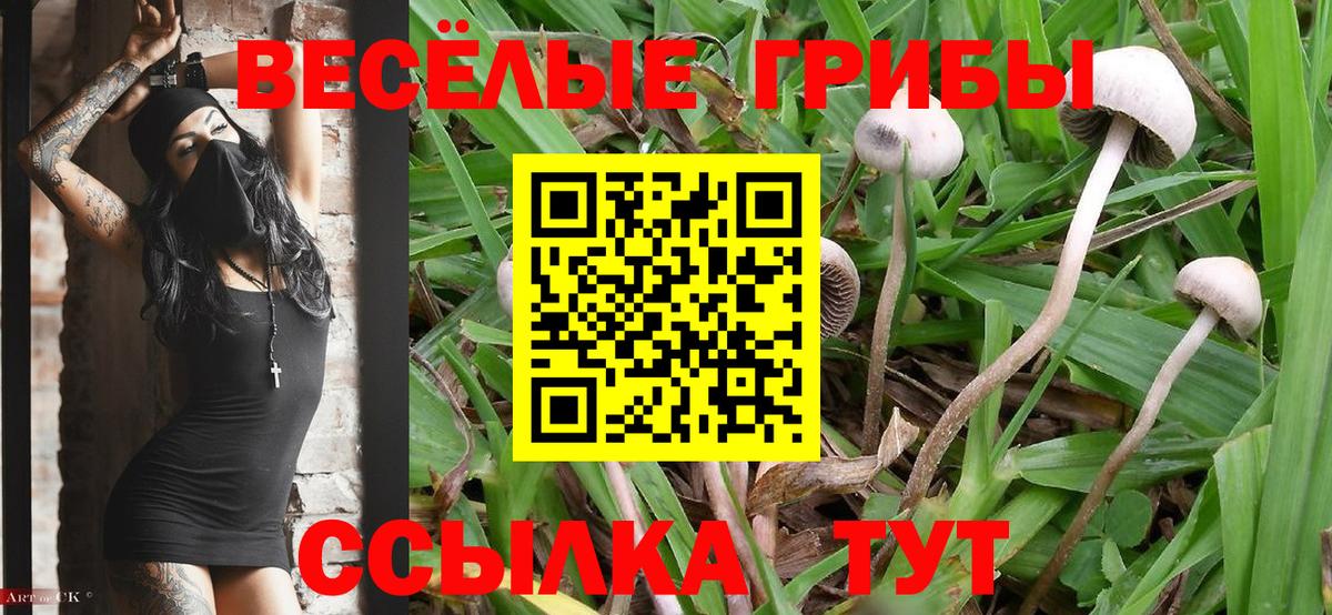 Галлюциногенные грибы мухоморы Кушва